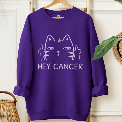 Hey🎗️Cancer support Sweatshirt